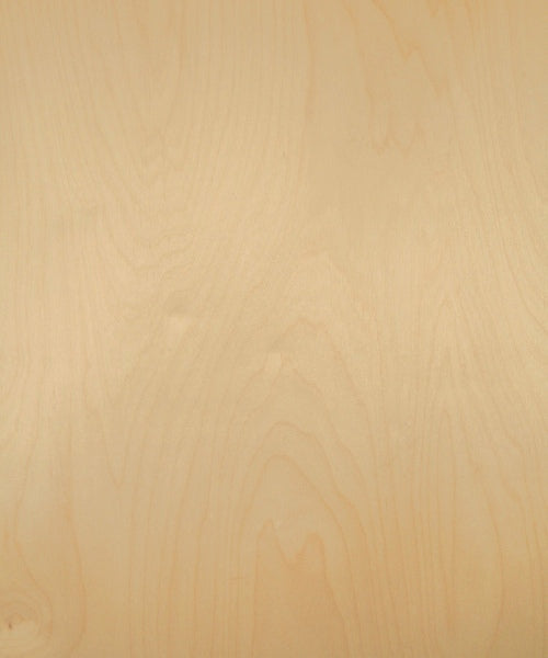 White Birch Wood Veneer – Rotary Cut Whole